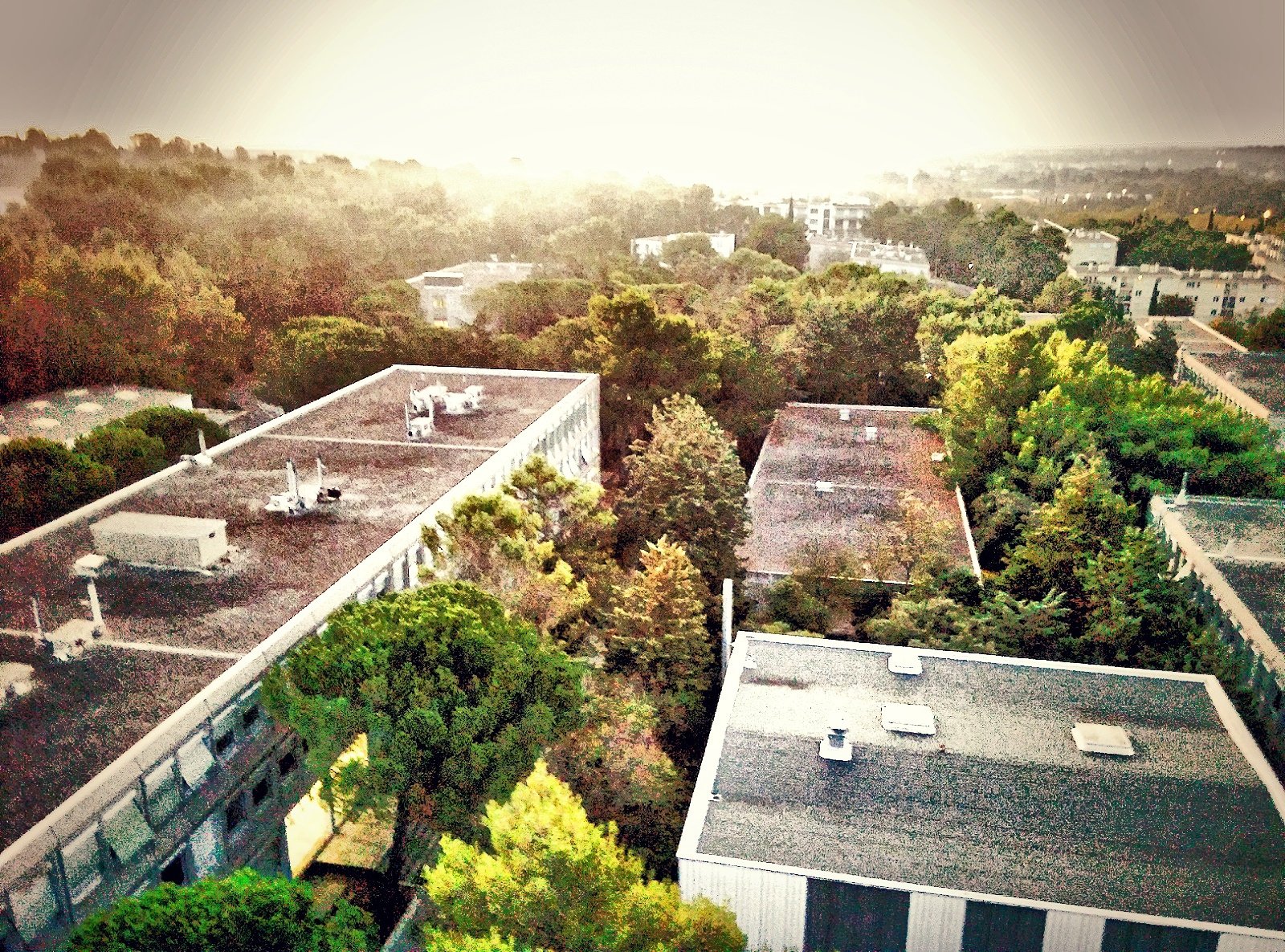 Campus Université de Montpellier