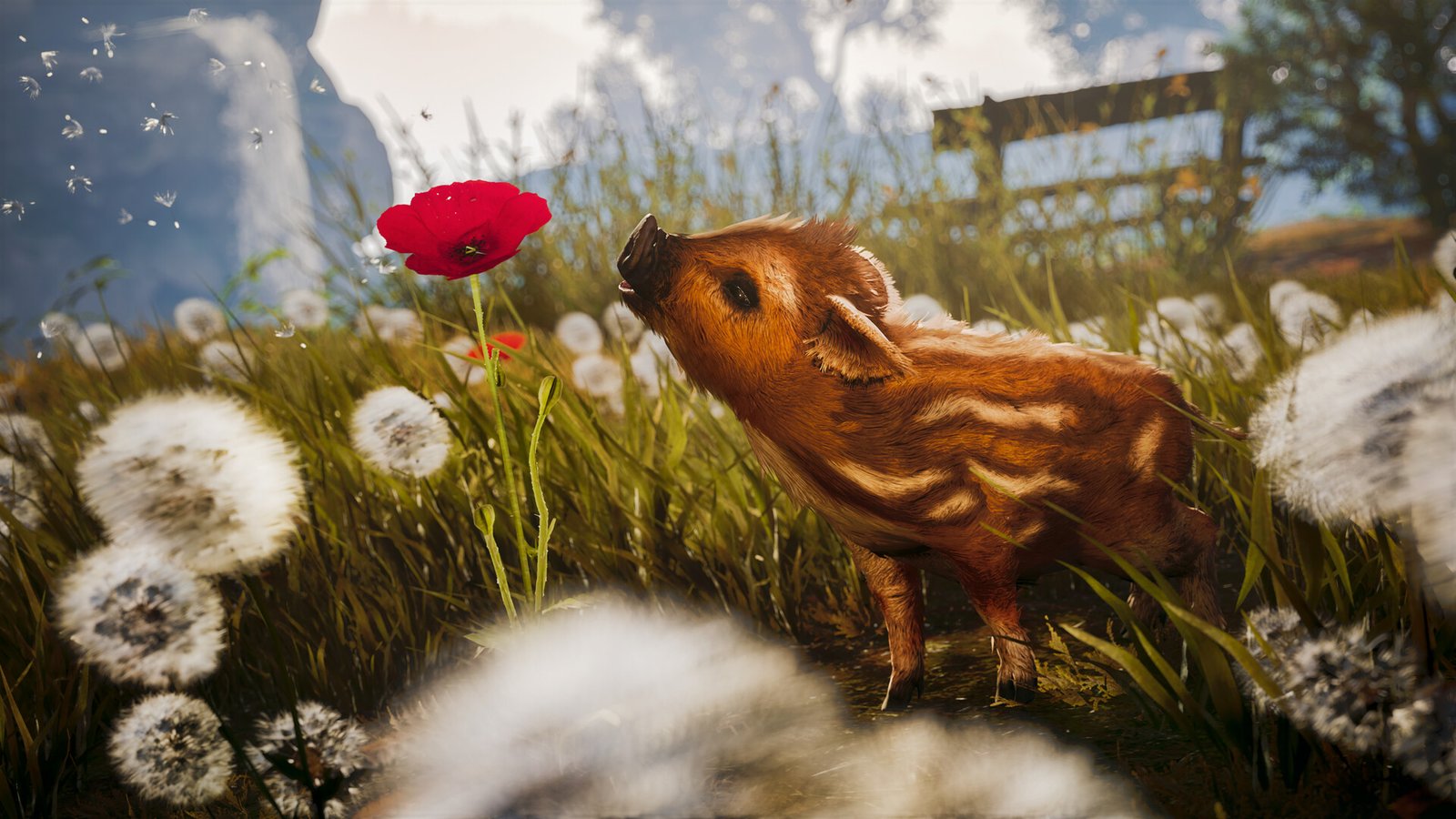 Boris, le marcassin d'Adorable Adventures de Wild Sheep Studio à Montpellier