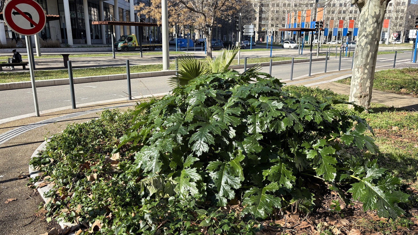 Avenue Raymond-Dugrand et parc Charpak à Montpellier Port-Marianne