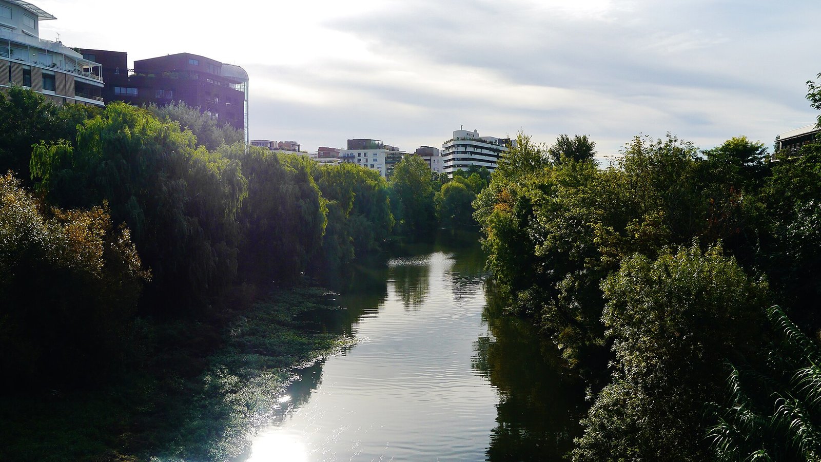 Les berges du Lez à Port Marianne