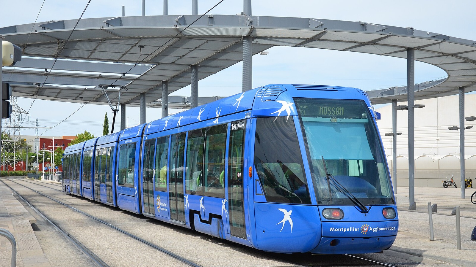 Rame de tramway bleue de la ligne 1 du réseau TaM à Montpellier