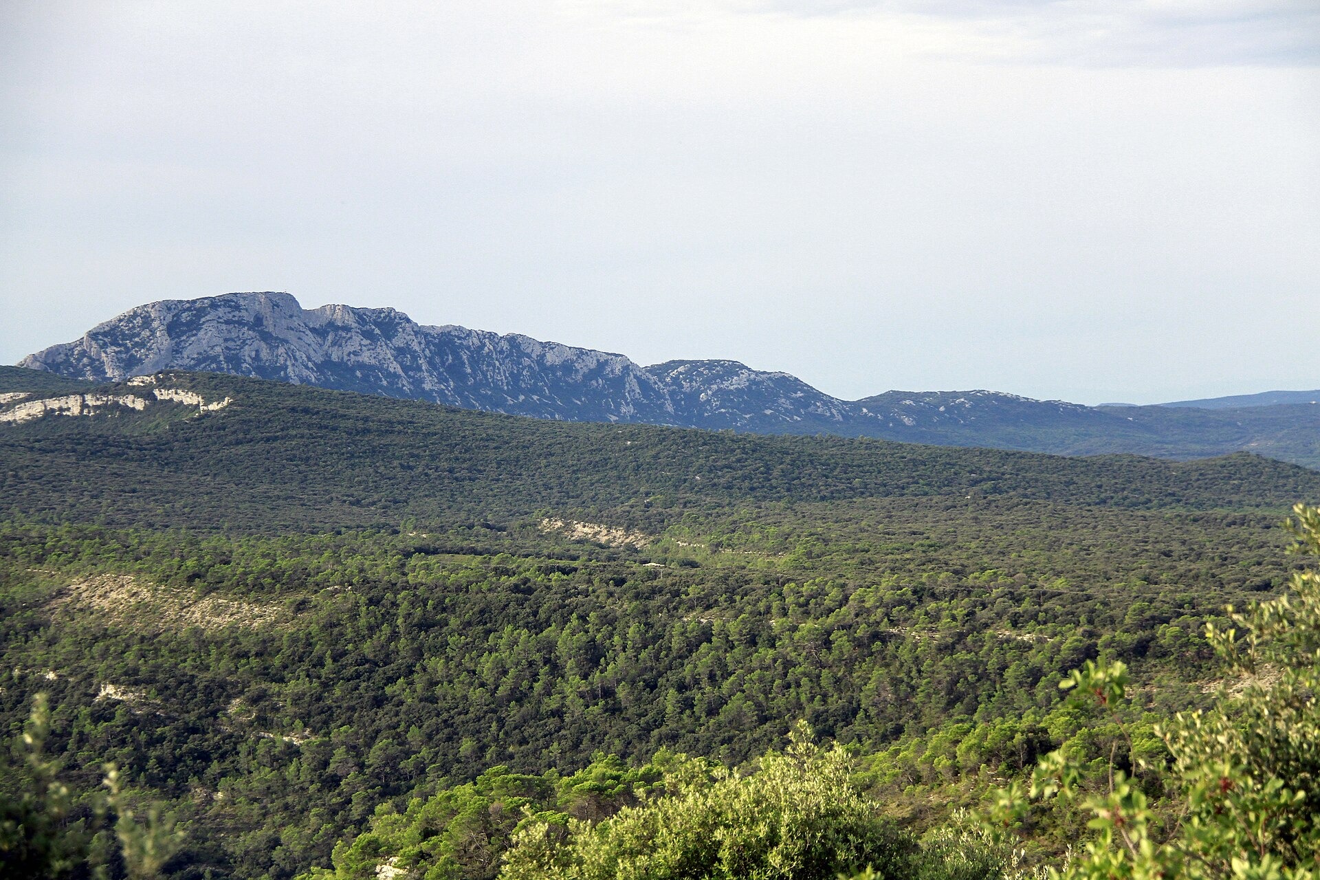 La face nord du Pic Saint-Loup et sa falaise, dans l'Hérault