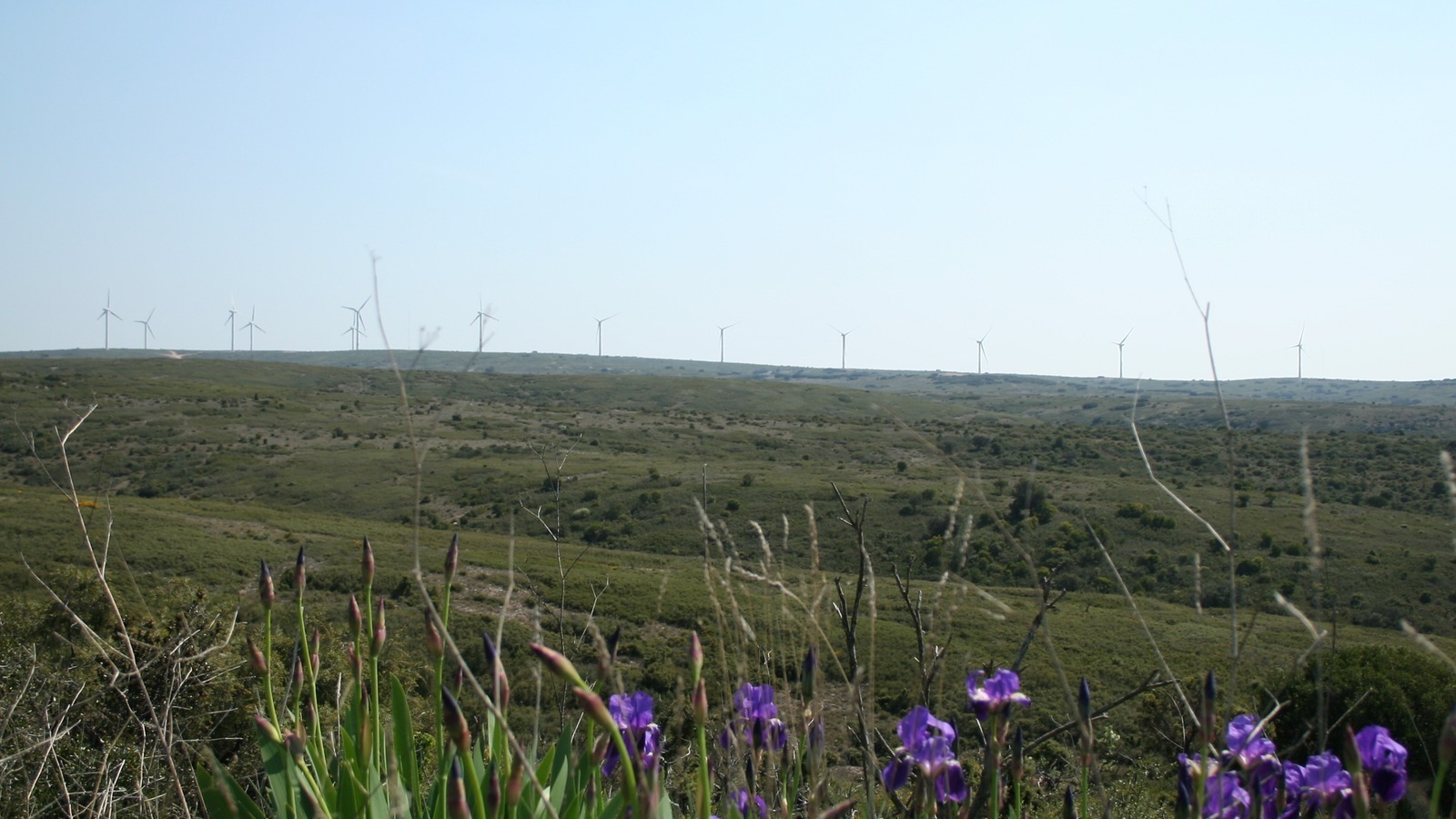 Éoliennes alignées sur le causse d'Aumelas, dans l'Hérault, au-dessus de la garrigue