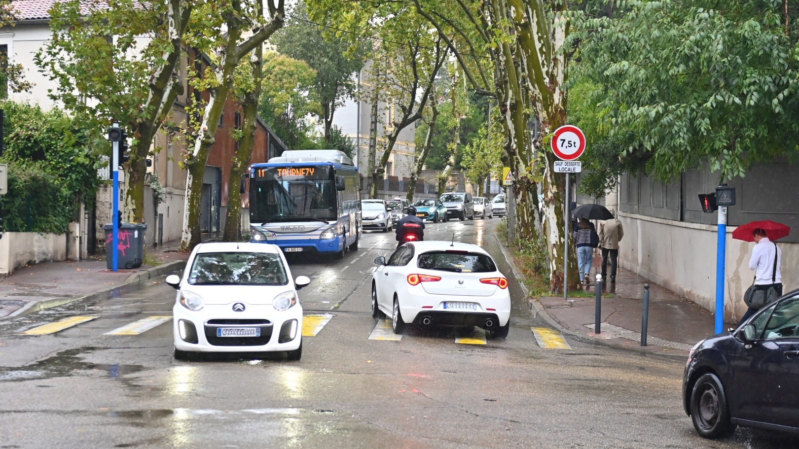 Circulation en double sens sur le boulevard Berthelot à Montpellier, bordé de platanes