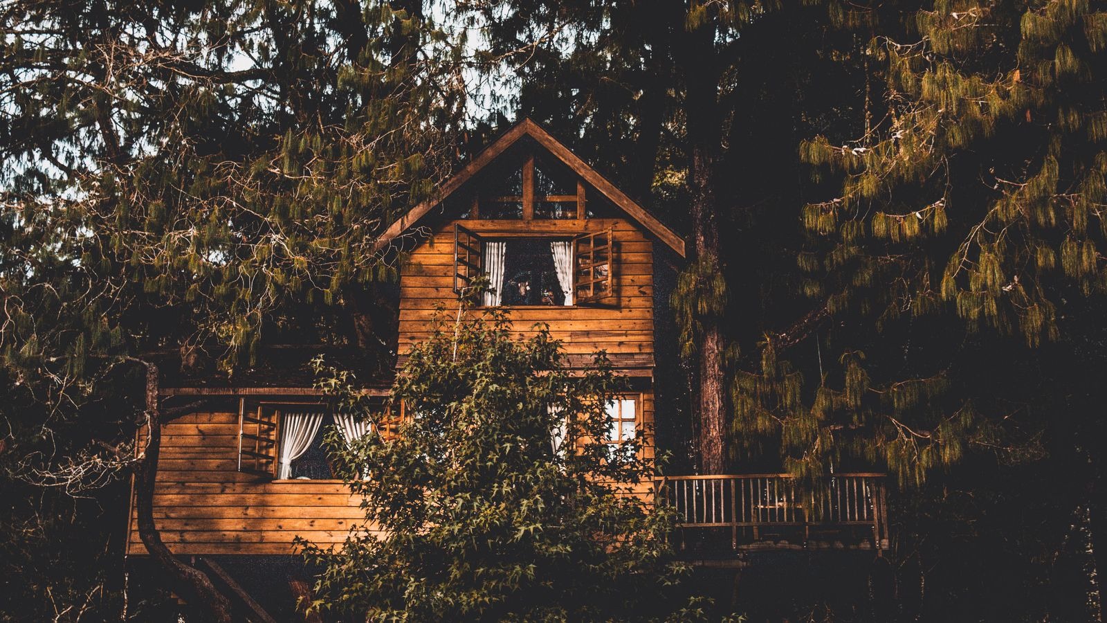 Cabane en bois perchée parmi les arbres, avec terrasse en surplomb
