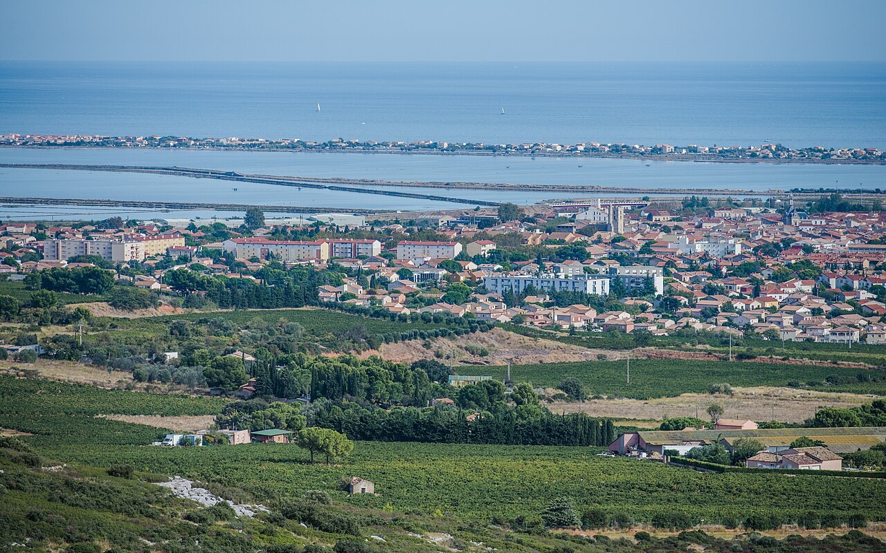 Vignoble de muscat de Frontignan dans l'Hérault, au-dessus de l'étang d'Ingril