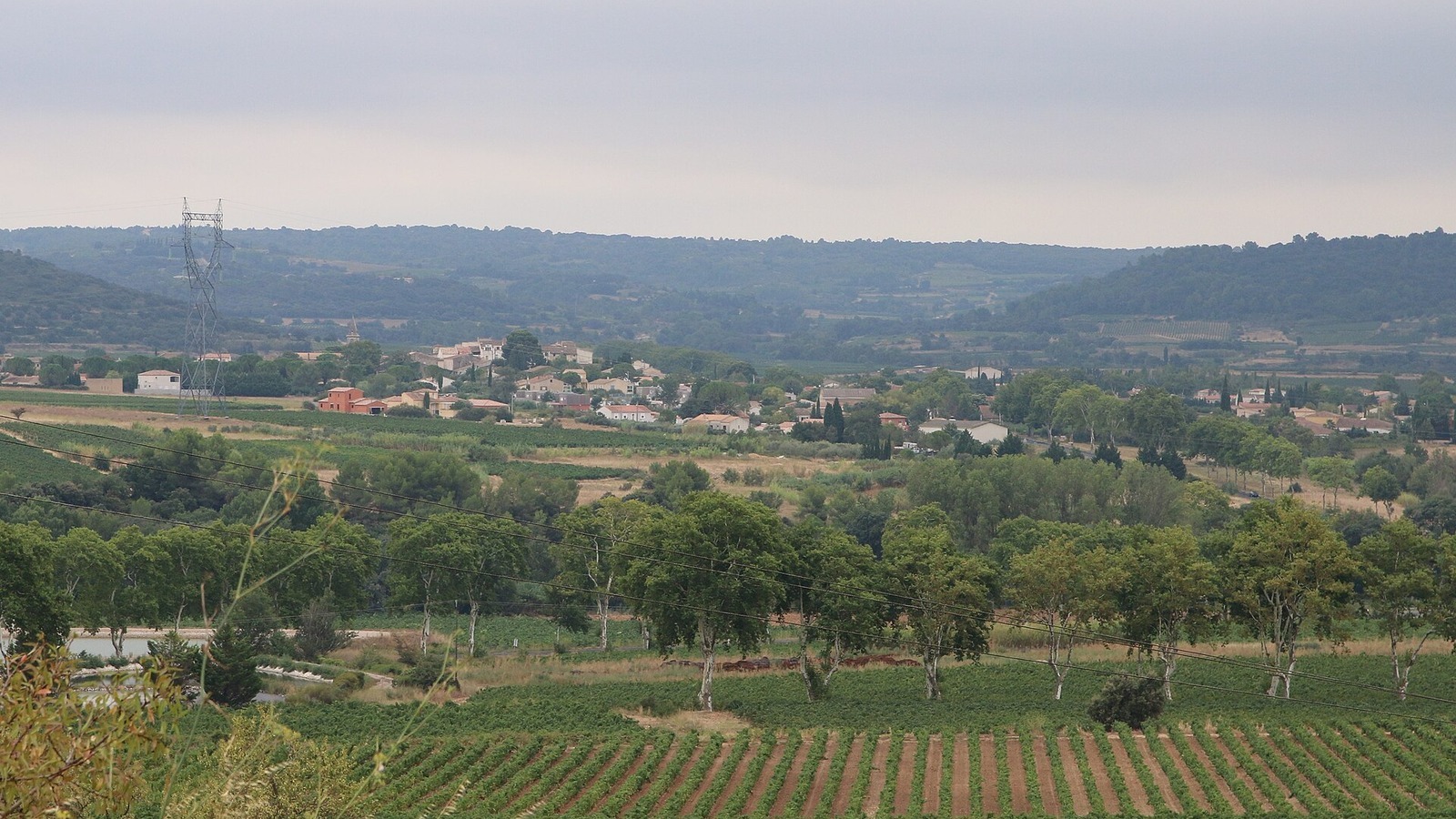 Vue du village de Plaissan, dans l'Hérault, entouré de vignes